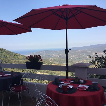 U Riposu Di A Cupulatta Bed and Breakfast Sollacaro Buitenkant foto