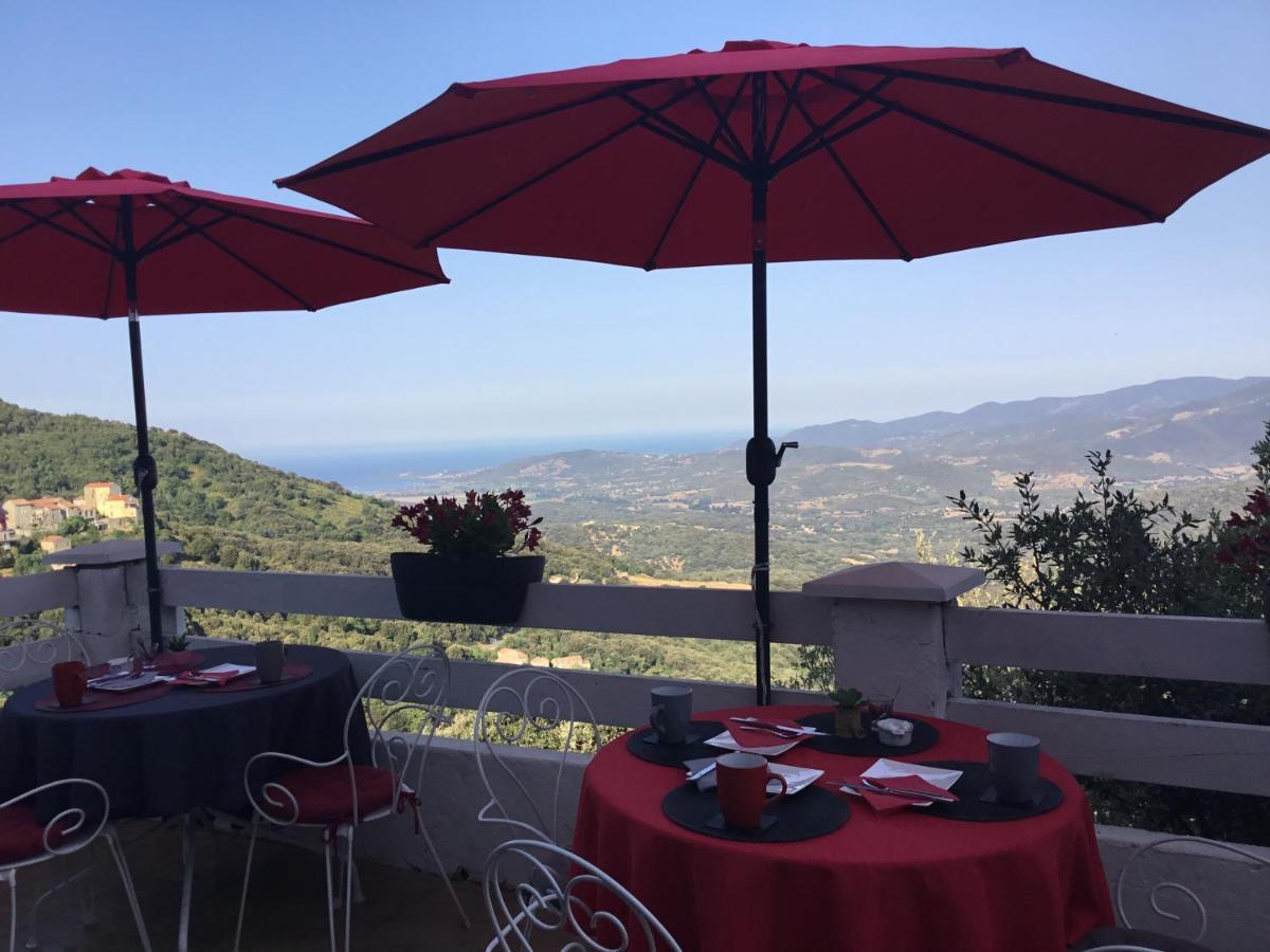 U Riposu Di A Cupulatta Bed and Breakfast Sollacaro Buitenkant foto